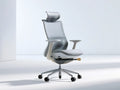Gray and Silver Ergonomic Mesh Office Chair with Adjustable Headrest and Arms, 25.6 x 25.6 x 46.5-50.4 in